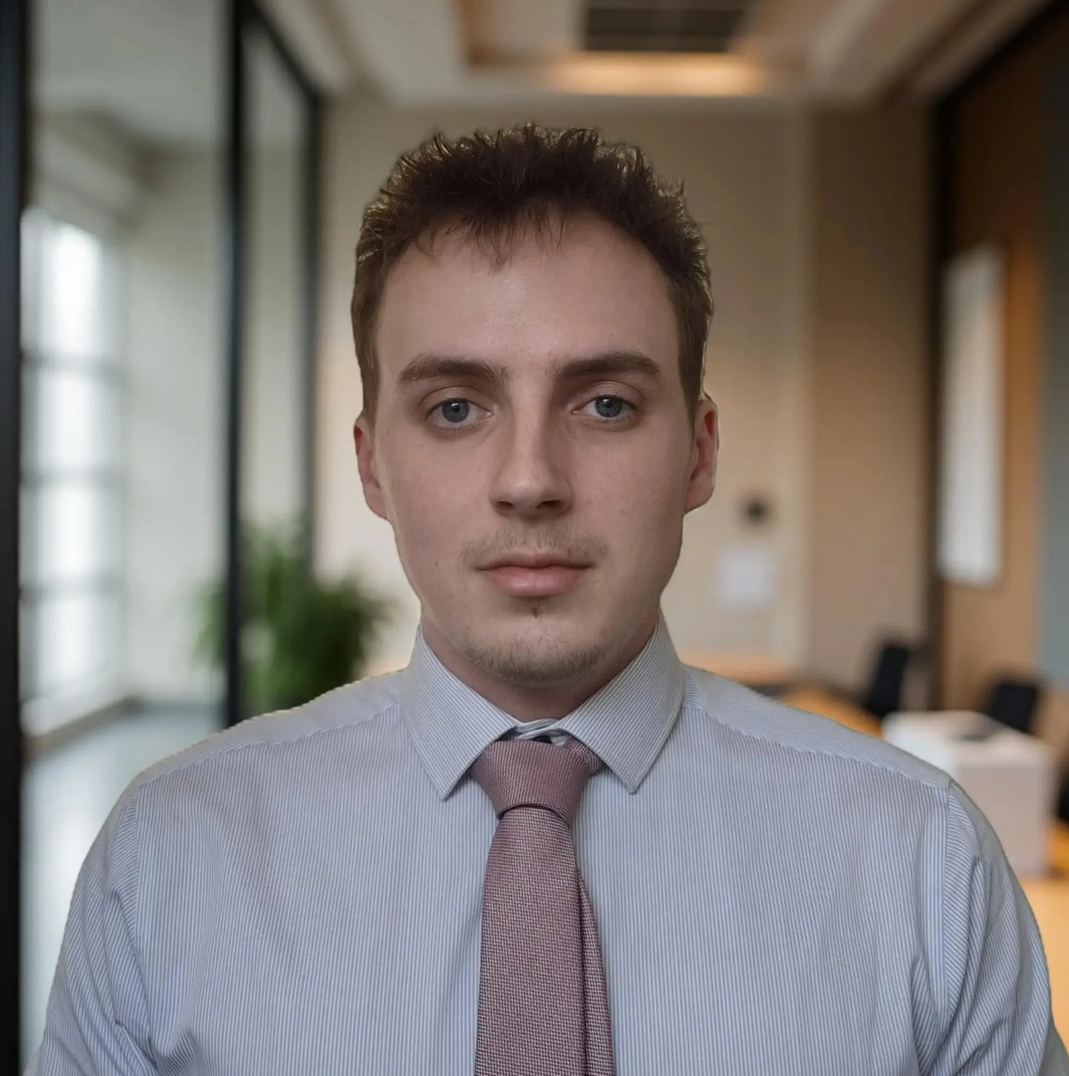 Developer